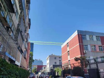 与妈妈的最后一次对话