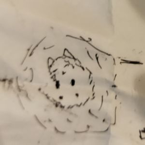 vol.3 那些闪光的作品与新问题