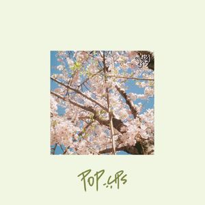 Pop ups | 苍兰诀完结后我电子失恋了