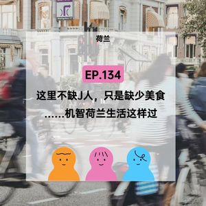 EP.134【荷兰】久居荷兰的你，过的好吗？