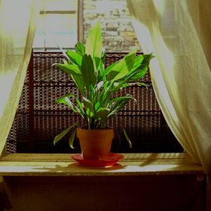 Vol.8 文化探索家，熬一碗让品牌拉面更有风味的汤底