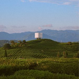 Vol.14 向忙碌的世界请个假，来景德镇浮梁做三天山野村民