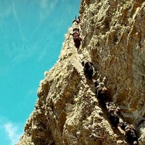 Ep33 《喜马拉雅》：与自然共生的另一种可能