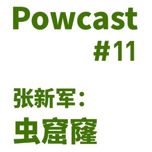 泡卡司 #11 | 张新军：虫窟窿