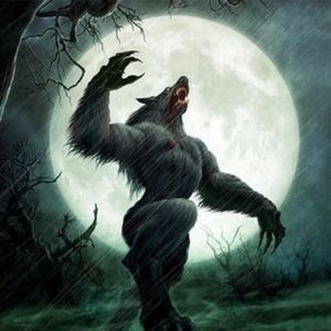 狼人看到中秋吃剩的月饼会变身吗？