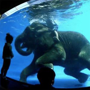 动物园规则怪谈，恐怖都来自那一丁点的不对劲