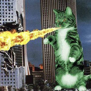 我宣布一人发一个大霸王龙！