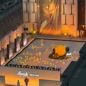 178.荒唐的追星经验分享,真是太丢脸了