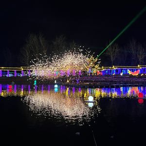 EP13: “我比村里的猪更怕过年!”|和心理咨询师聊聊过年回家的焦虑怎么解?