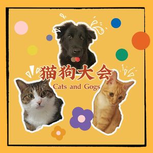 EP02 | 猫狗大会：捡来的猫猫狗狗能有多香（下）