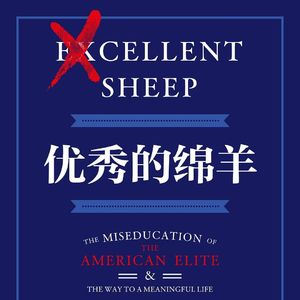 《优秀的绵羊》回忆时卷时躺的学生时代 ft.俗话说