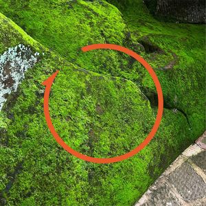 Vol.75 小地方|为什么,云南是你的“绿洲”?