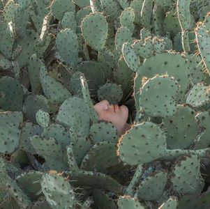 为你好式PUA｜没必要生气，但越想越气