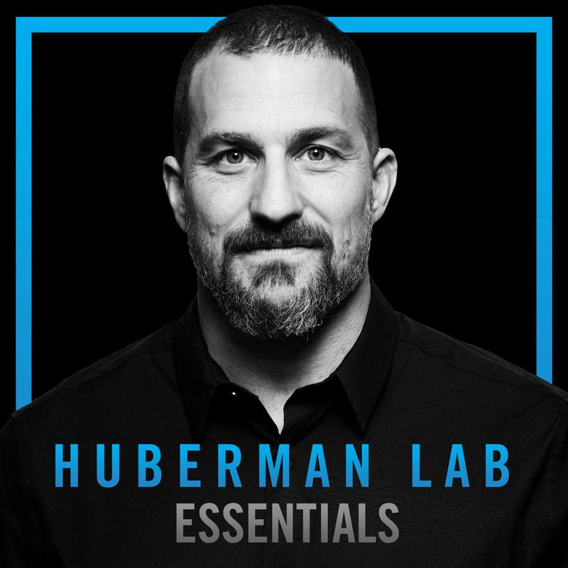 Essentials: The Neuroscience of Speech, Language & Music | Dr. Erich Jarvis Episode cover