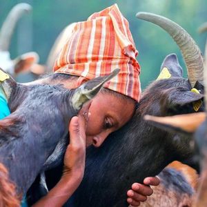 E2｜阿吉图·古德塔：他乡难民，奶酪匠心