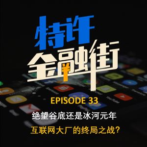 EPISODE 33:绝望⾕底还是冰河元年,互联网大厂的终局之战?