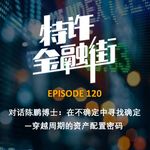 EPISODE 120：对话陈鹏博士：在不确定中寻找确定—穿越周期的资产配置密码