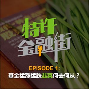 EPISODE 1: 基金猛涨猛跌，韭菜何去何从？