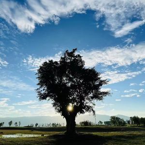 中国 | 大理：我在大理的三种角色（数字游民+客栈老板篇）