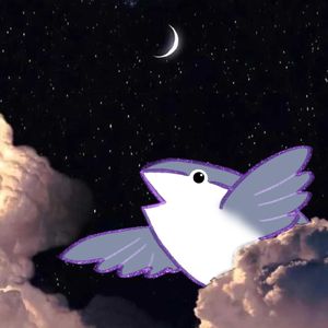 Vol.022 我在落雨的深夜做了个白日梦