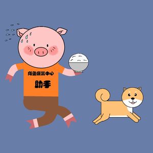 Vol.017.5在美国养柴犬是什么体验？