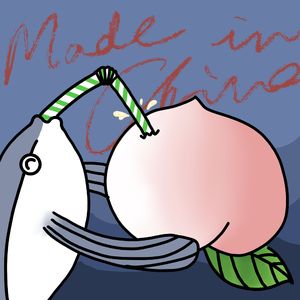 VOL.079怎么会这么强！那些惊人的国产力量