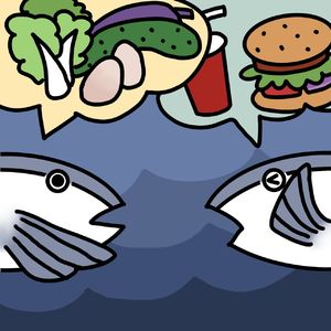 VOL.073 【重庆龙门阵】老辈子在想些啥子我真的搞不懂