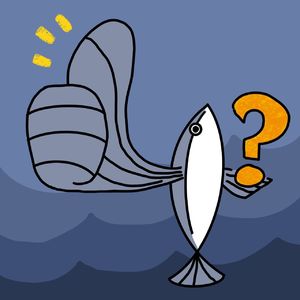 VOL.043 买买买可以提升生活幸福感