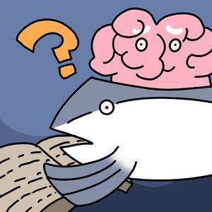 VOL.080 无用的知识又增加了，但脑子里什么都没留下