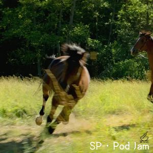[搅]·Pod Jam限时创作特辑: 异地偷马 ± Jam