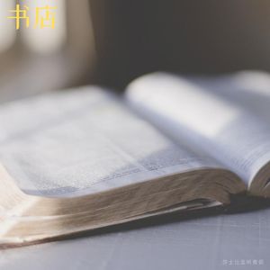 28. 《书店》：当文化荒漠生出一个理想主义花朵