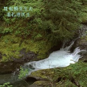 12. 罗伯特•戴博德《蛤蟆先生去看心理医生》：请不要再和他人共谋伤害自己