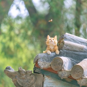 碎碎念｜最近看了本小说，从修仙变成科幻