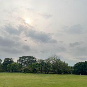 带你们去公园散步，杂音很大不要睡前听