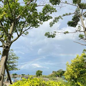 新家第一位客人是18年没见的朋友