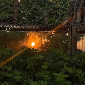 我要搬去大理啦！聊聊搬家断舍离以及异地租房