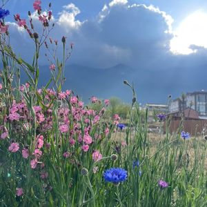 旅居大理第一周：有些地方我们终会到达