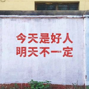 快递炒股刷视频｜你愿意花多少钱换回一个爱人