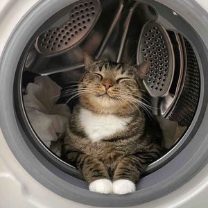 碎碎念｜对抗天性、戒烟、全民皆赢的idea