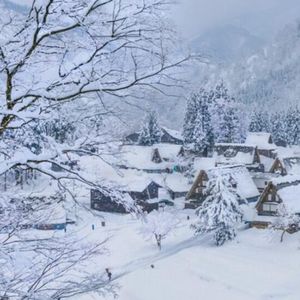 椒江话读诗 |《致雪》《积雪》金子美玲