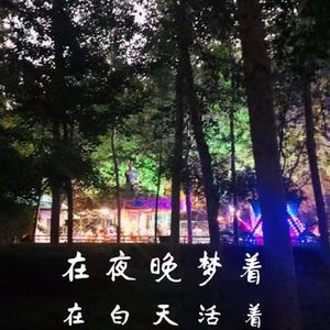 vol.12 在白天活着，在夜晚梦着