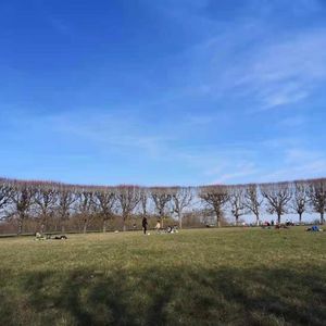 接纳真实的母亲|与母亲和解,与金钱连接