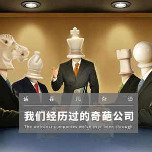 VOL.29 我们经历过的奇葩公司