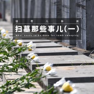 VOL.340 扫墓那些事儿(一)