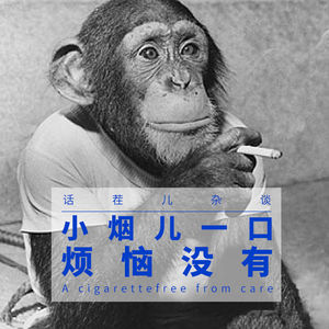 VOL.16 小烟儿一口，烦恼没有