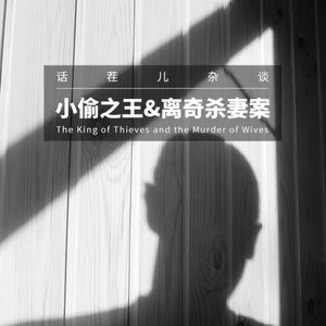 VOL.223 小偷之王和离奇的杀妻案