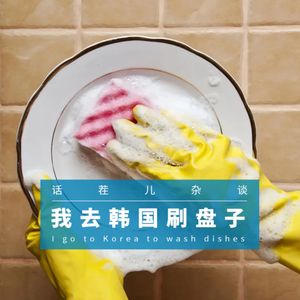 VOL.211 我去韩国刷盘子
