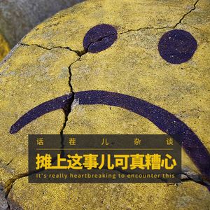 VOL.313 摊上这事儿可真糟心