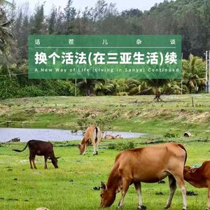 VOL.391 换个活法（在三亚生活）续