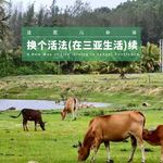 VOL.391 换个活法（在三亚生活）续